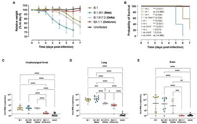 Heterogeneous Infectivity and Pathogenesis of SARS-CoV-2 Variants Beta, Delta and Omicron in Transgenic K18-hACE2 and Wildtype Mice